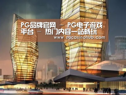 案例展示三