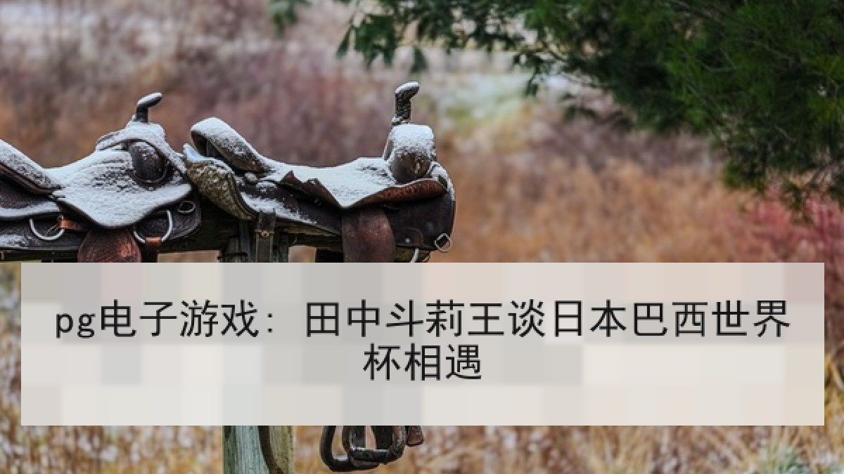 pg电子游戏: 田中斗莉王谈日本巴西世界杯相遇