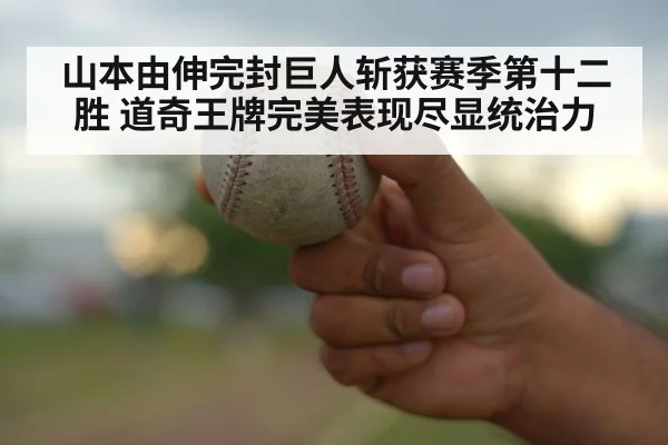 baseball pitch close up