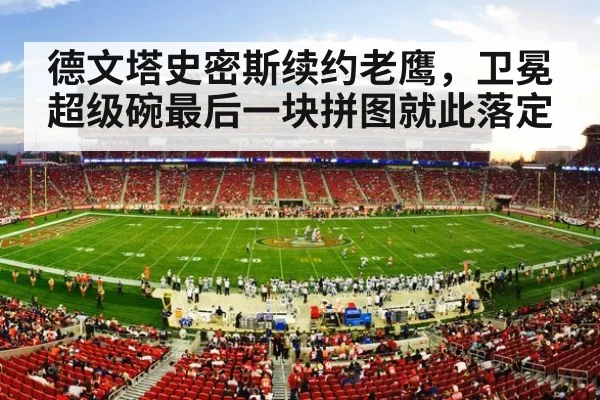 American football stadium crowd