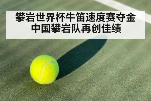攀岩世界杯牛笛速度赛夺金中国攀岩队再创佳绩