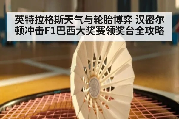 英特拉格斯天气与轮胎博弈 汉密尔顿冲击F1巴西大奖赛领奖台全攻略