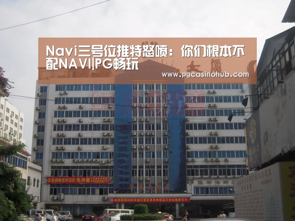 Navi三号位推特怒喷:你们根本不配NAVI|PG畅玩(图1) PG平台