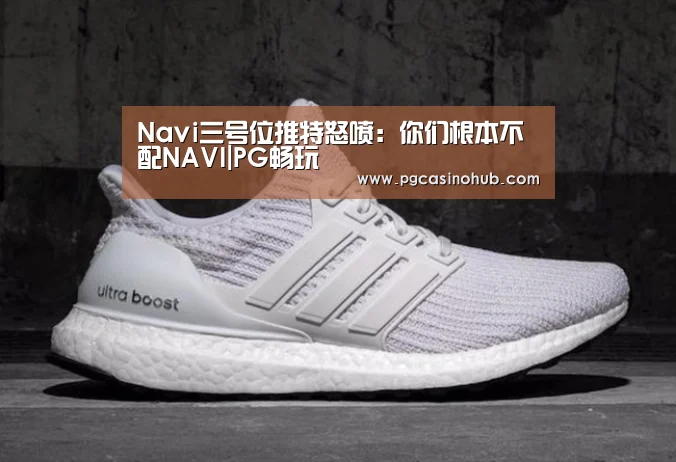 Navi三号位推特怒喷:你们根本不配NAVI|PG畅玩(图3) PG畅玩